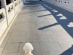 -the rug 飞毯 (朝阳公园店)