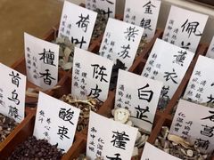 -通透堂中医·精准推拿(旗舰店)