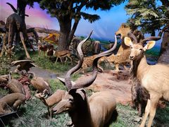 -国家自然博物馆