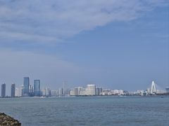 -万绿园