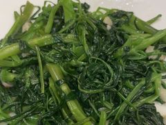 -锦粤宫·精致粤菜(深圳北站店)