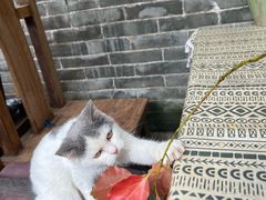 -老屋咖啡