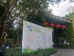 -华侨城湿地公园
