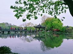 -西湖外事游船(花港观鱼码头)