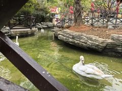 -灵玲国际马戏城