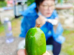 -大连冰峪旅游度假区