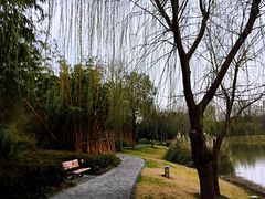 -南翔镇银翔湖公园