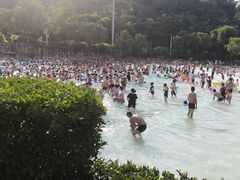 -重庆海昌加勒比海水世界
