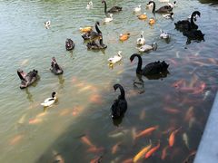 -泉州海丝野生动物世界