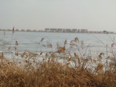 -包头南海湿地景区