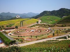 -张钰强中医正骨推拿连锁(唐家人才公寓店)