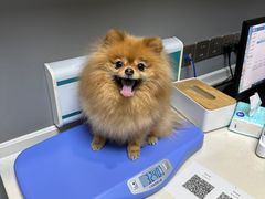 -关爱宠物医院·猫科中心·消化科(滨湖万达分院)