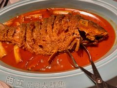 -阿五黄河大鲤鱼(英协路店)