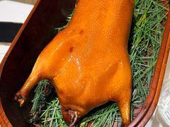 -鹿园 MOOSE(长宁店)