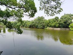 -长田漾湿地公园