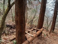 -天目山-昭明禅寺