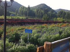 -紫海香堤香草艺术庄园