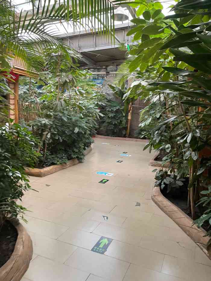 阳光绿岛生态酒店-"元宵节,姐姐在此宴客.第一次来,北方城市.