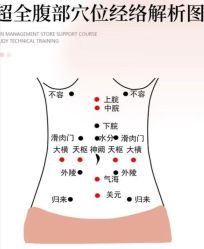 点击看大图 -玛莲朵·海菲秀冰珀科
