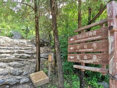 -阳台山自然风景区