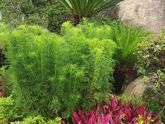 -白鹭洲公园