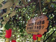 -小洞天柴火土菜馆