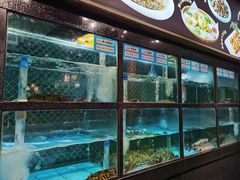 -顺意·顺德家乡菜(国际人才大厦店)