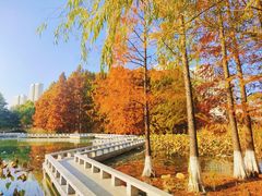 -白塘生态植物园
