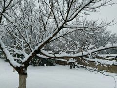 -钟山体育运动公园