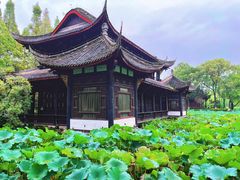 -桂湖森林公园