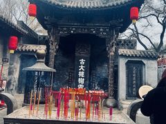 -大槐树寻根祭祖园