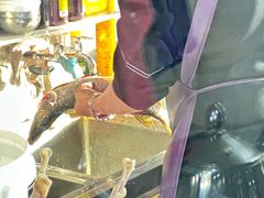 -煲来饱去冷水鱼