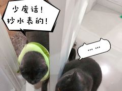 -爱侣宠医·鹦鹉专科·小型哺乳类·异宠专科(灵石路店)