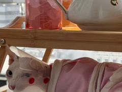 -欧奕国际动物医院