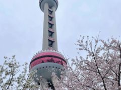 -东方明珠广播电视塔