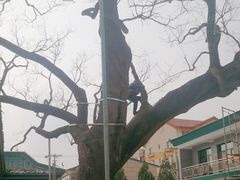 -大厂清真寺