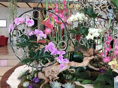 -广交会威斯汀酒店