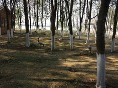 -艾溪湖湿地公园