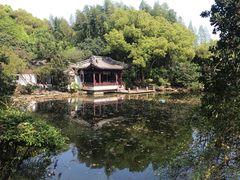 -汇龙潭