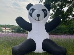 -大塘金香草谷