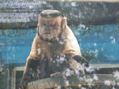 -秦皇岛野生动物园
