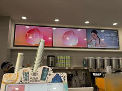 -雾与山茶(大禹城店)