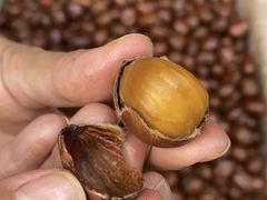 -何庄子阿米玛玛农产品批发市场