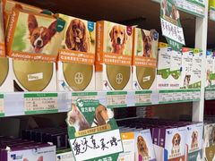 -中国农业大学动物医院