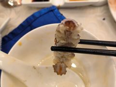 -天明山温泉大酒店