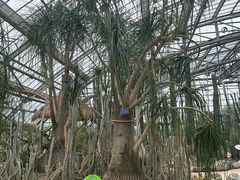 -南山植物园