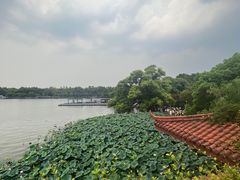 -湖畔居茶楼(湖滨店)