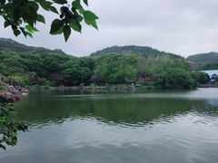 -白马涧龙池景区