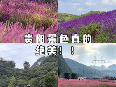 -贵厨酸汤牛肉(花果园国际中心店)