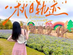 -嘉北郊野公园